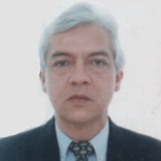 IGM-AVATAR